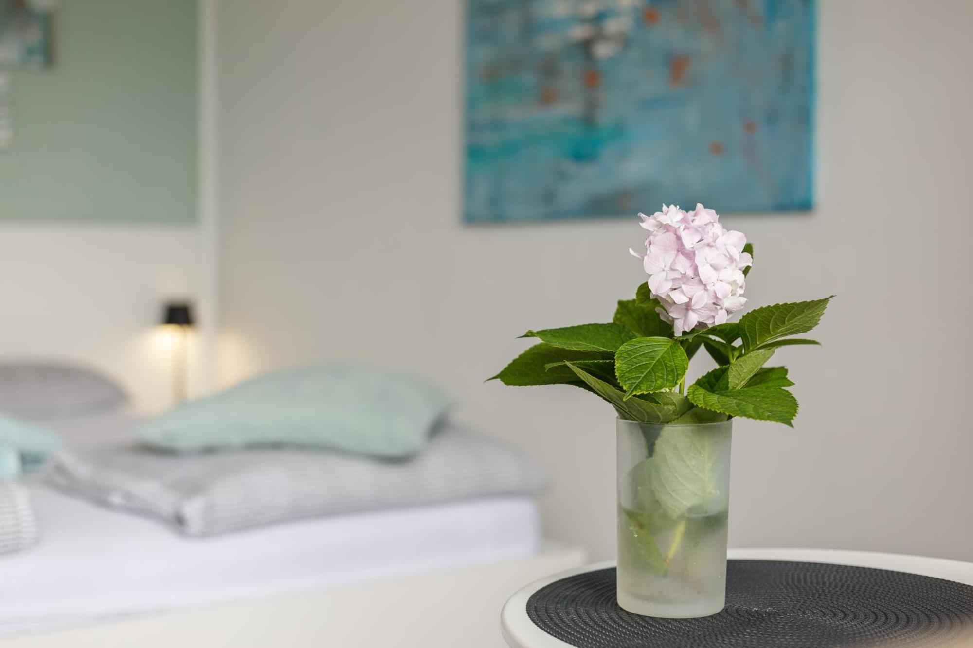 Ana Apartment 크리크베니카 외부 사진